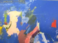 vlindervallei groep 6-19